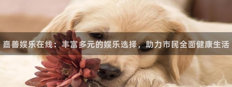 好彩运邀