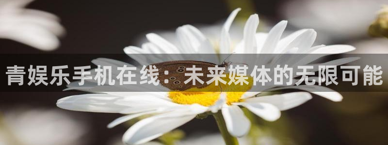 好彩运：青娱乐手机在线：未来媒体的无限可能