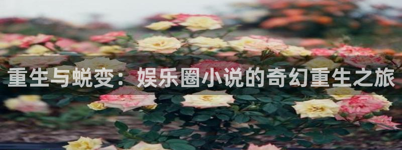 好彩运邀：重生与蜕变：娱乐圈小说的奇幻重生之旅
