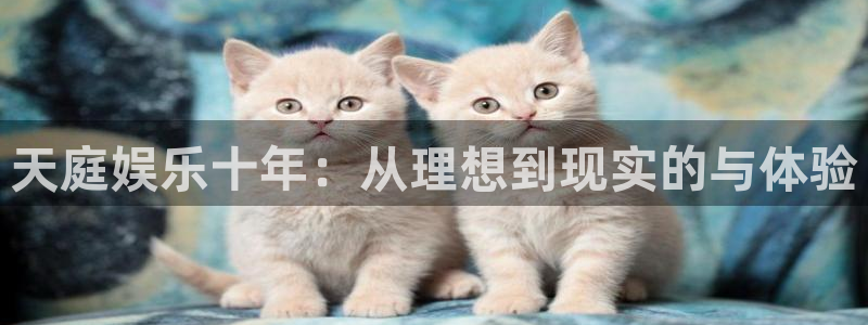 好彩运官网