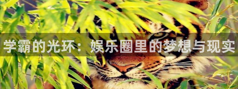 好彩运意思