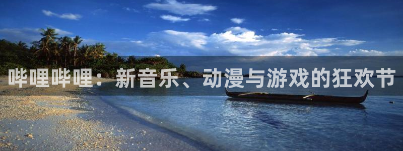 好彩运集团：哔哩哔哩：新音乐、动漫与游戏的狂欢节
