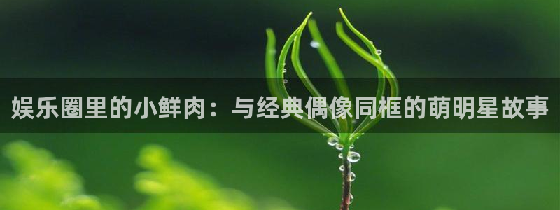 澳门好彩运集团：娱乐圈里的小鲜肉：与经典偶像同框的萌明星故事